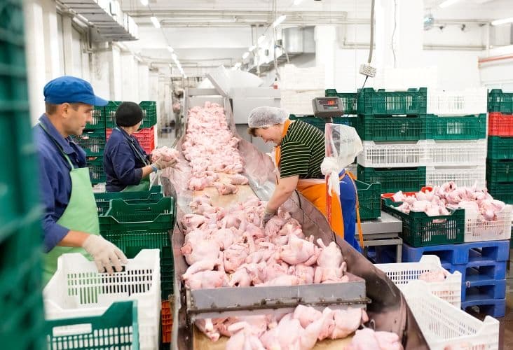Food & Agriculture roles