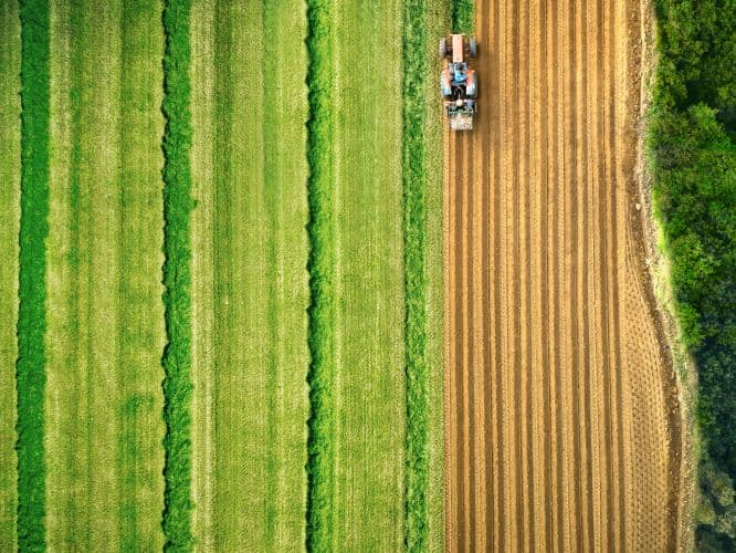 Food & Agriculture
